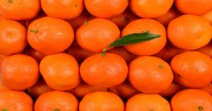 Orange prices today in Punjab, Delhi, and Madhya Pradesh (April 10, 2025)